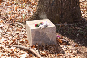 Mary Stockum's Grave - Coshocton County